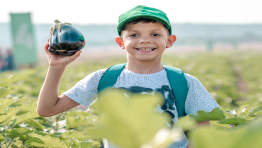 חגי תשרי בקטופותי